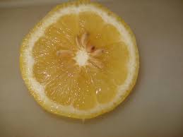 Seeds of Orange Slice